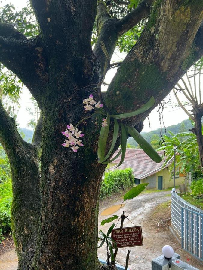 Darshan'S Home Stay Madikeri Esterno foto